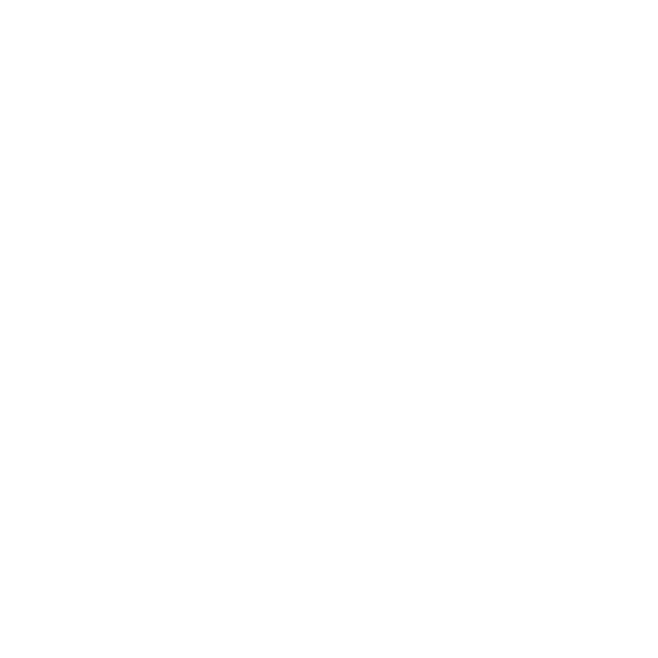 Cybersecurity & AI Icon-2